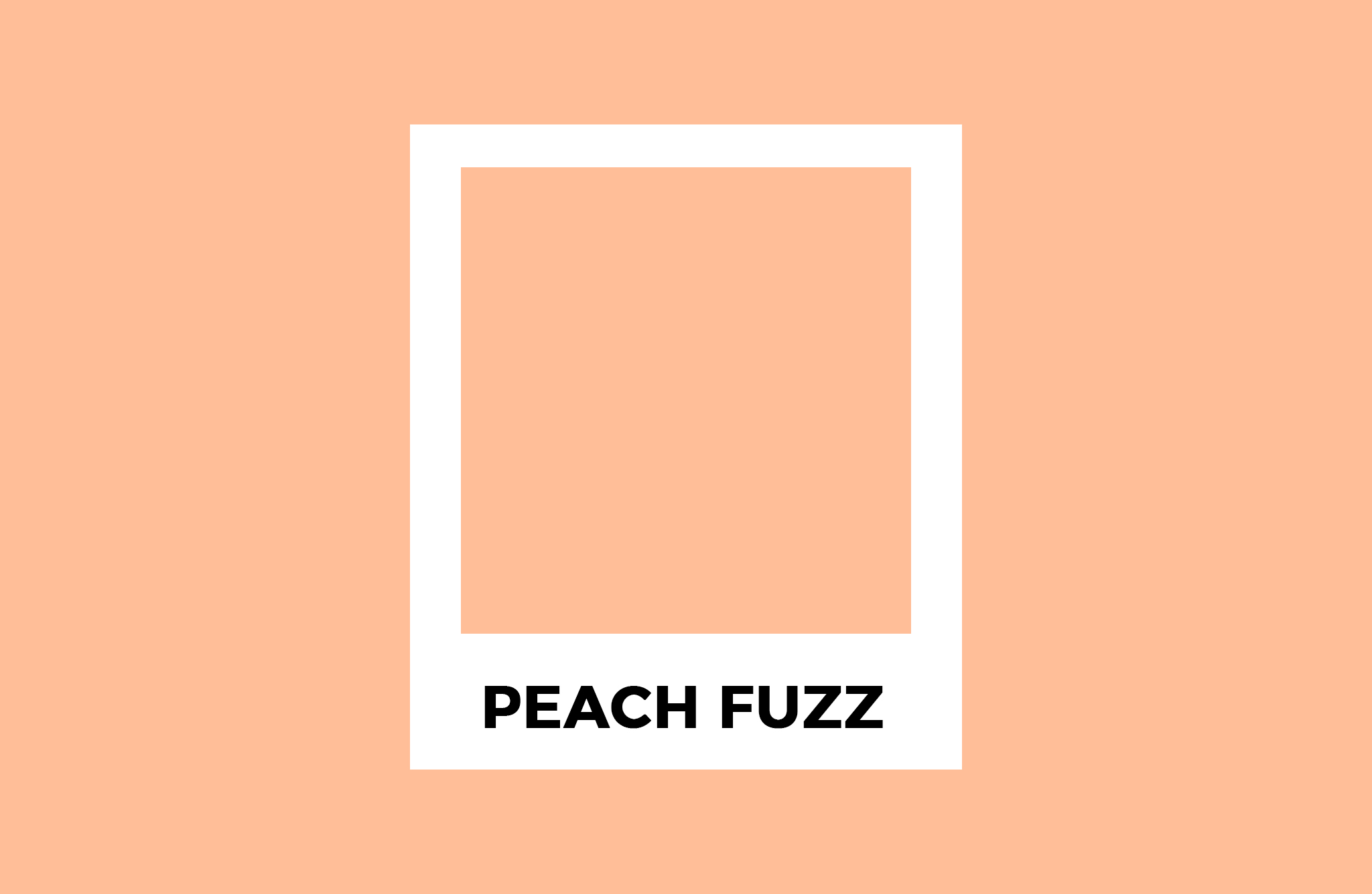 Pantone Công Bố Màu Sắc Của Năm 2024 Sắc Cam đào Peach Fuzz