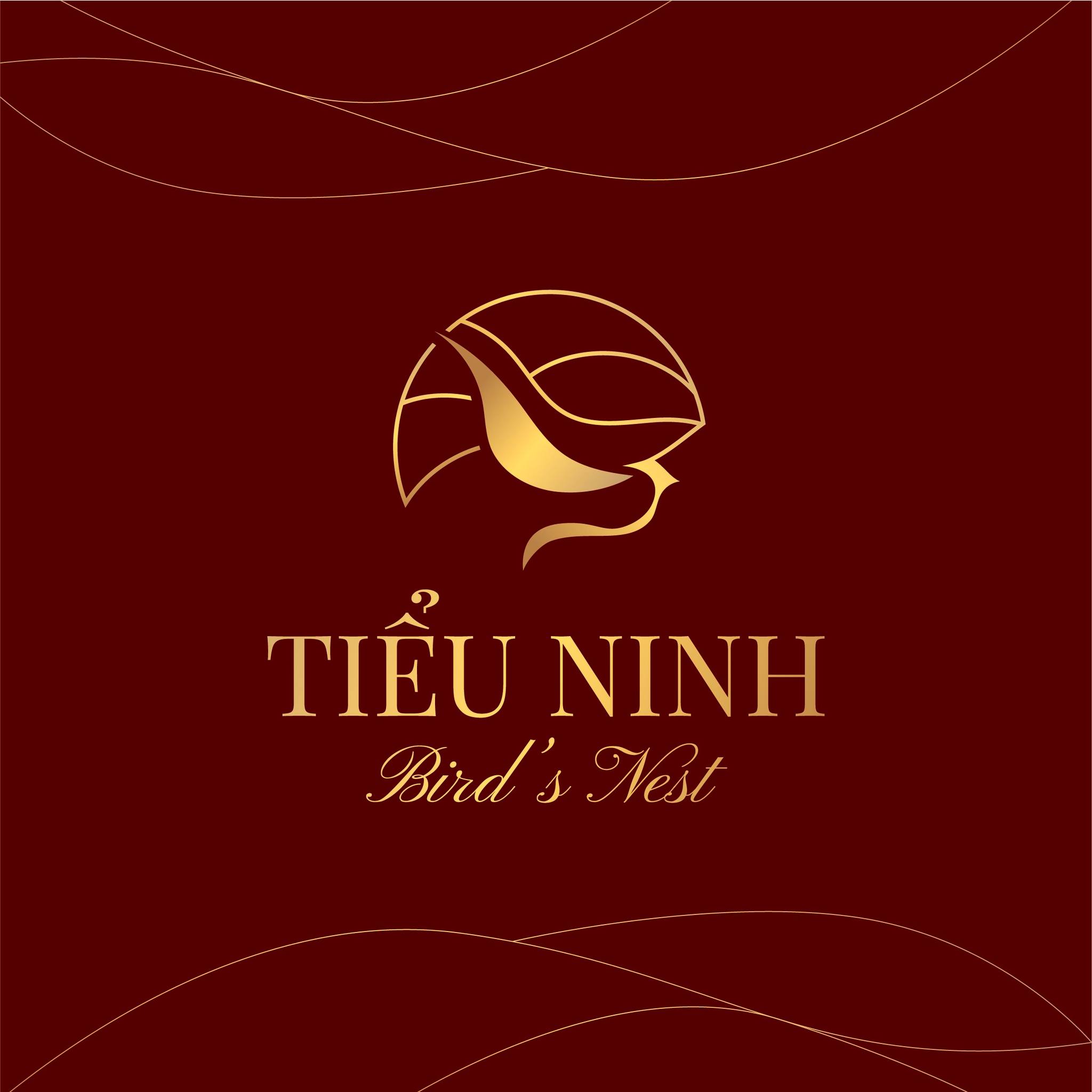 logo phong thuỷ 2.jpg