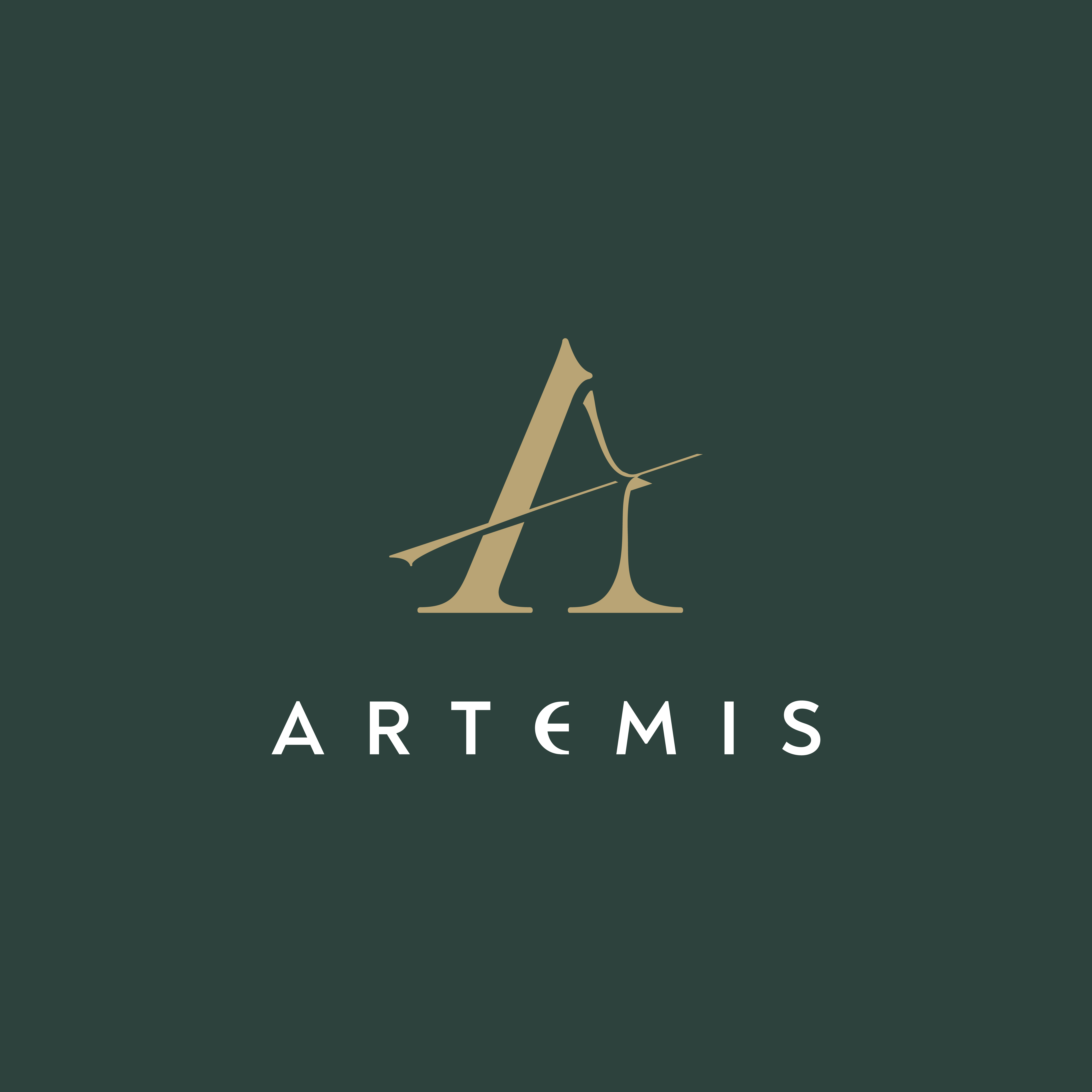 Artemis-01.jpg