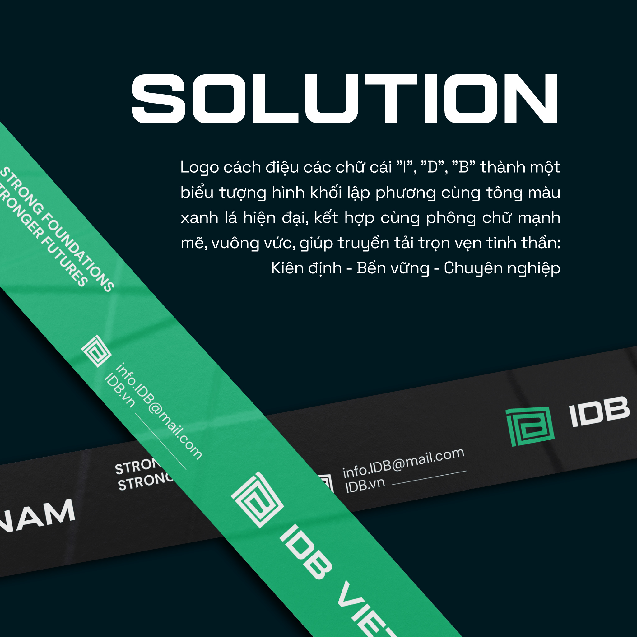 IDB vietnam-01 (6).jpg
